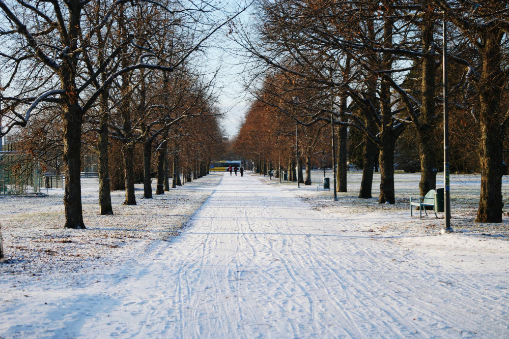 Winter Park 